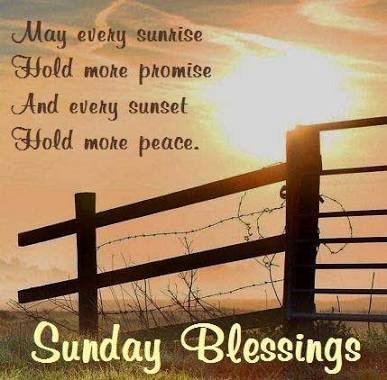 100+ Happy Blessed Sunday Quotes With Images